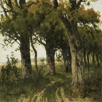 Hrastova Aleja krajem ljeta, Maria Bilders-van Bosse, 1880-99, Nizozemsko slikarstvo, ulje na platnu. Ispis plakata