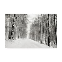 Zaštitni znak likovna umjetnost 'Snježni šetnja III' platno umjetnost Jamesa McLoughlina