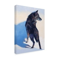 Julie T Chapman 'Wolf Study I' Canvas Art