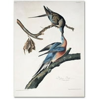 Zaštitni znak likovna umjetnost Putnički golub Canvas Art by John James Audubon