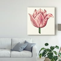 Zaštitni znak likovne umjetnosti 'Tulip Garden VII' Canvas Art by Vision Studio
