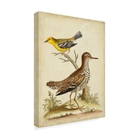 Zaštitni znak likovna umjetnost 'Antique Bird menagerie I' platno umjetnost George Edwards