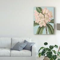 Fresh Flowers II 'Canvas Art by Vision Studio